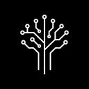 Noble Carbon
